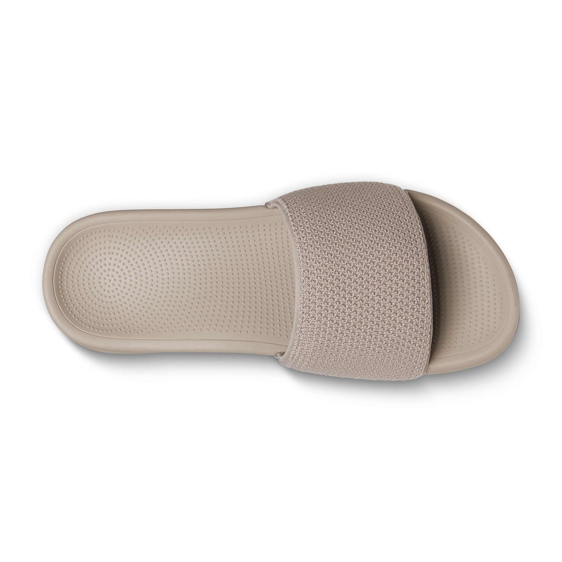 Allbirds Men's Allbirds Slide