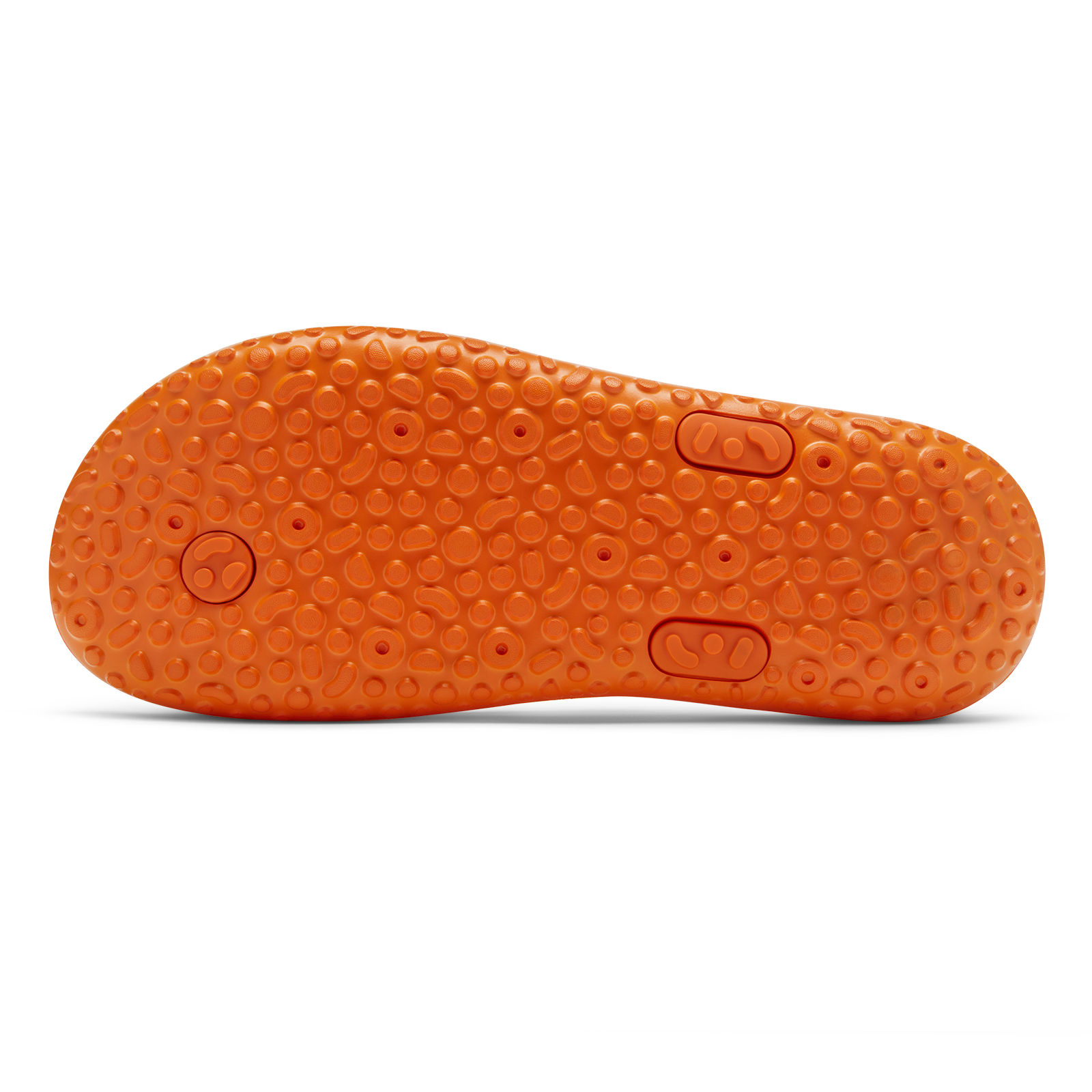 Allbirds Sugar Zeffer 2