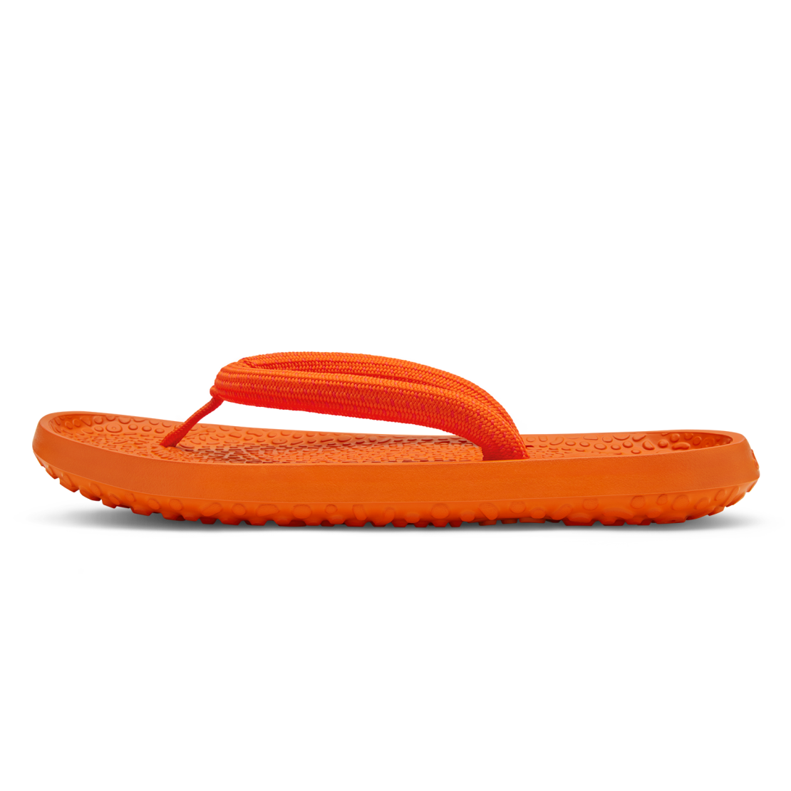 Allbirds Sugar Zeffer 2