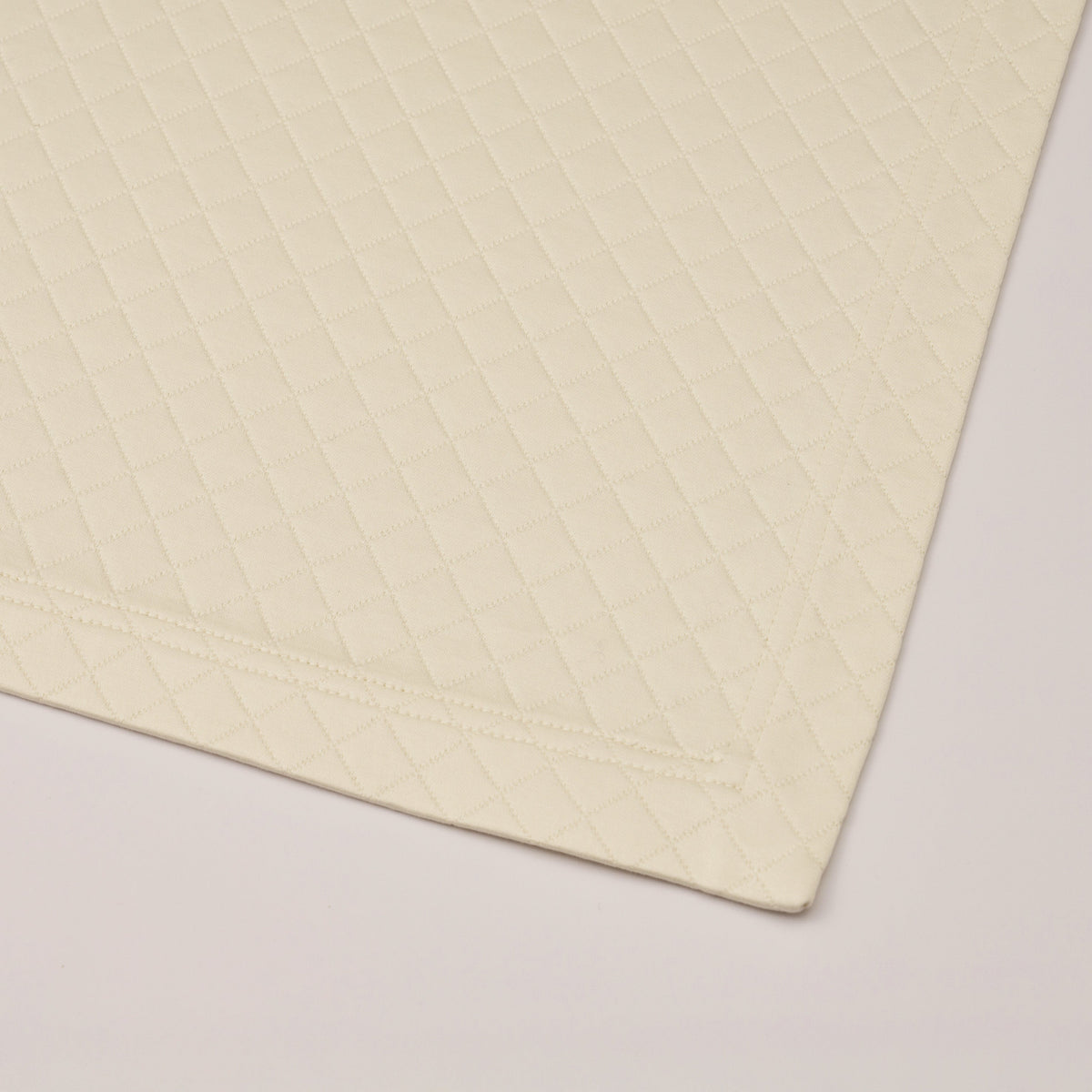 Heirlooms CNV1 Luggage Protector