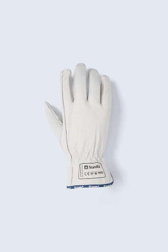 Scandia ScanDriver (12 pairs)