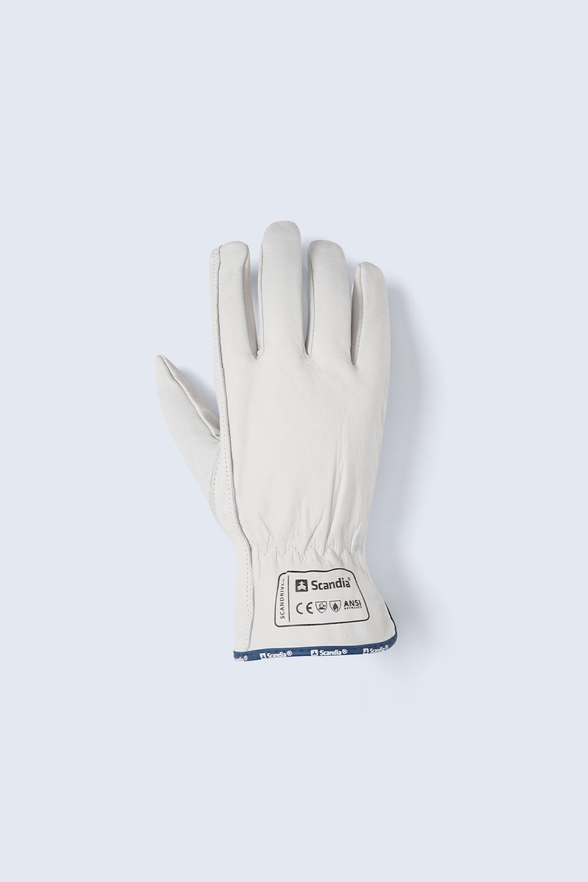 Scandia ScanDriver (12 pairs)