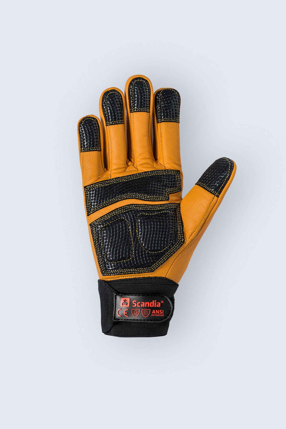 Scandia ScanKinetic (6 Pairs)