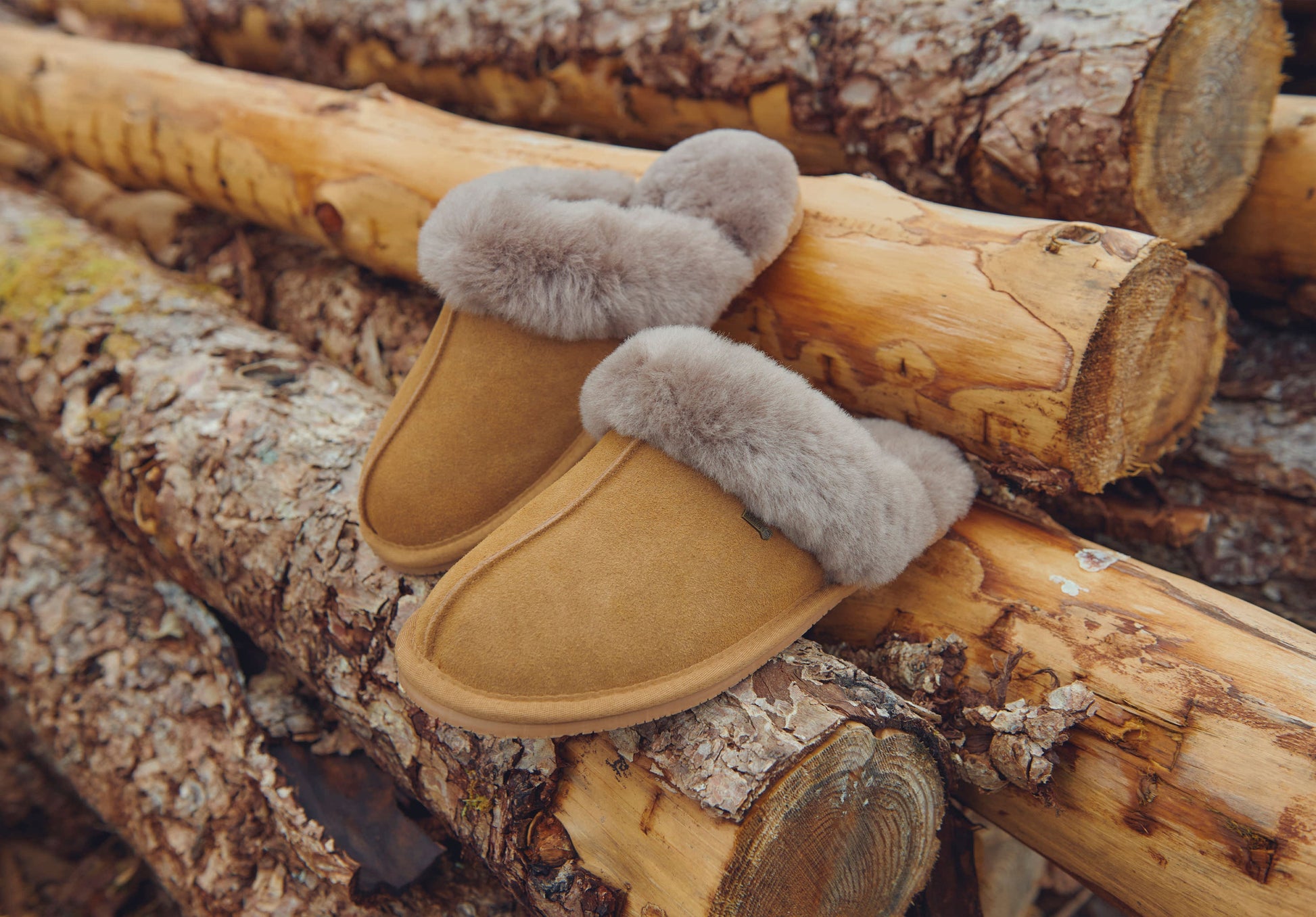 Dubarry Rockmill Women's Mule Slippers